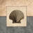 Shell Study 2-1560342829