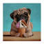 Crème glacée et toile pour chien Neapawlitan, design par Lucia Heffernan-2128139835