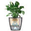 Classico Pot Planter-16493170