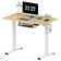 Home Office Height Adjustable Standing Desk With Built-in Power Outlet