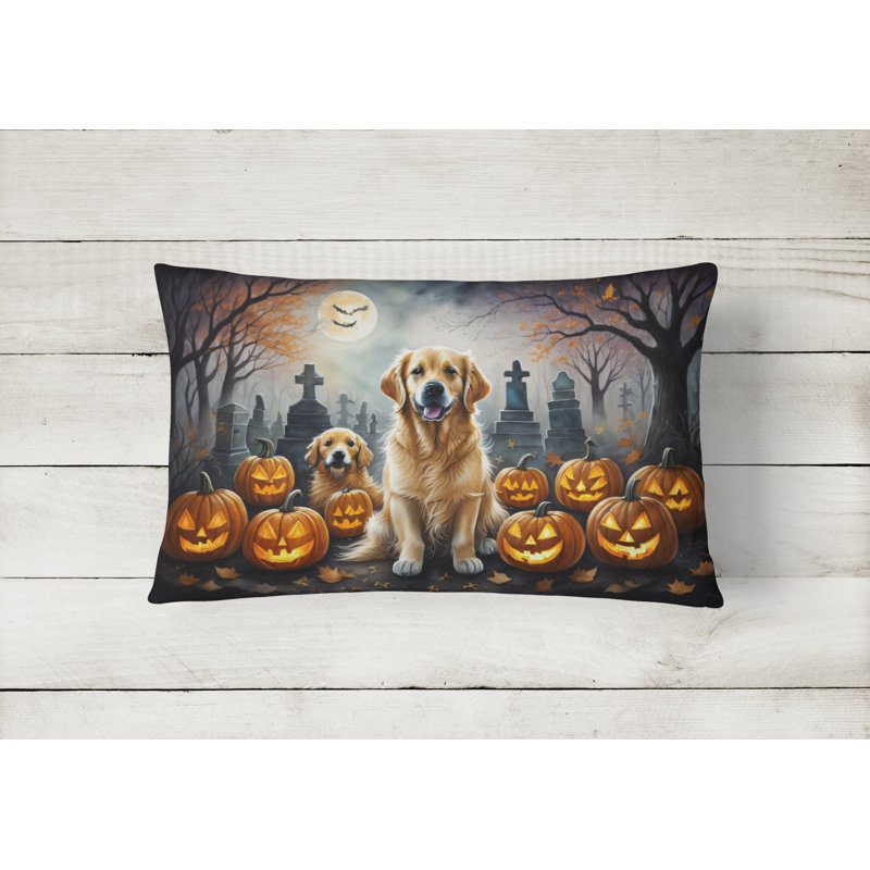 Other/No Pattern Outdoor Throw Pillow