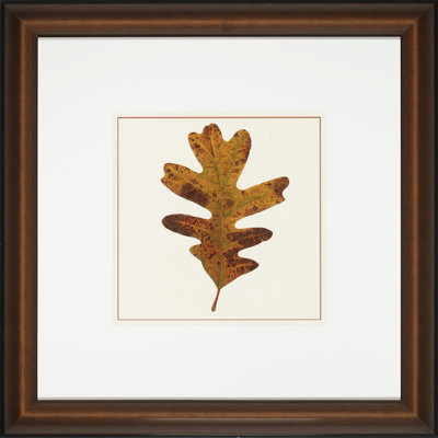 Nature Leaves III - Peinture sur verre encadrée