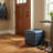 Janto Upholstered Ottoman