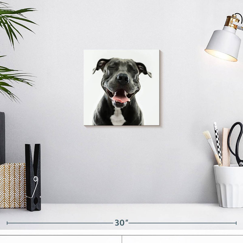 Brampt Smiling Black Pitbull, 10" H x 10" W