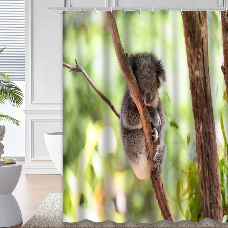 Rideau de douche Sleeping Koala Tree, L 72 po x l 84 po