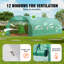 Walk-in Tunnel Greenhouse Galvanized Frame PE Cover-187925668-187925672