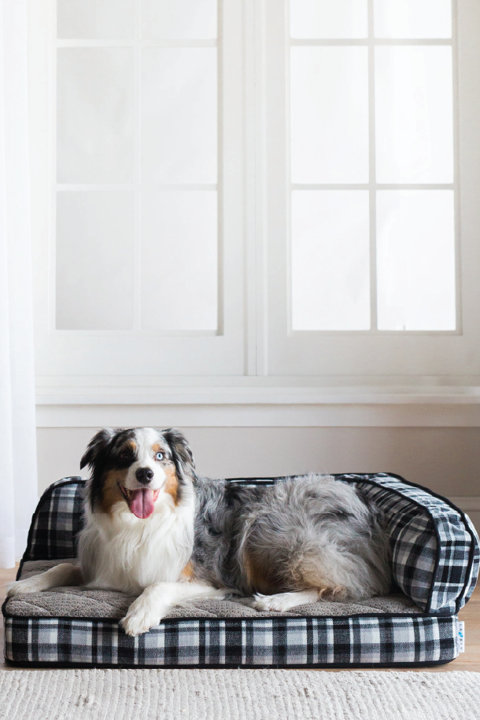 Shop Dog Beds