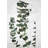 Eucalyptus Stems Framed Matted Print | Green Leaves Decor