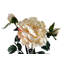 Plastic, Silk Artificial Arrangement-88685026