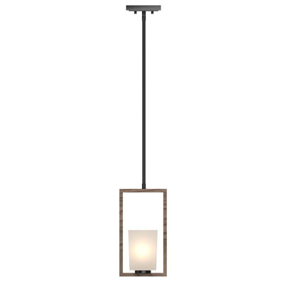 Mini-luminaire suspendu 1 lumière Paxton avec abat-jour conique en verre givré Paxton
