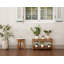 8 Pair Solid Wood Shoe Rack