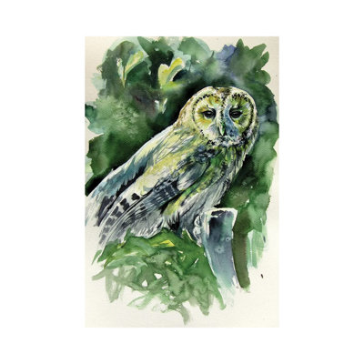 Majestic Owl by Anna Brigitta Kovacs - Wrapped Canvas Print