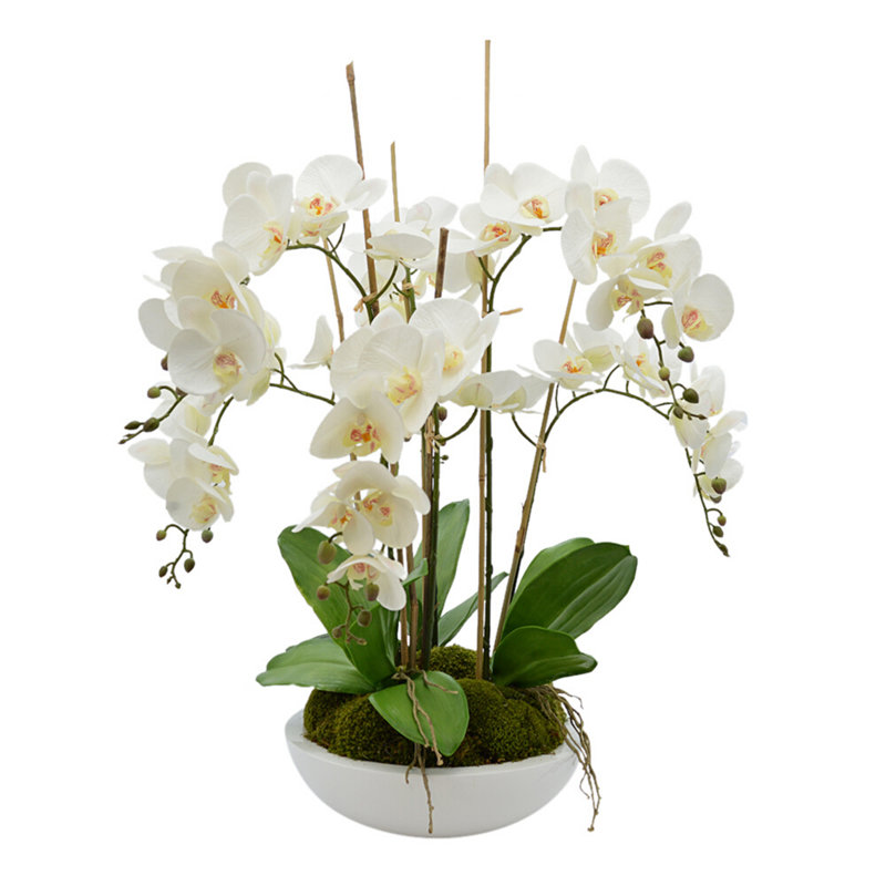Orchid Arrangement in Round Fiberstone Pot