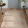 Olius Performance Oriental Rug