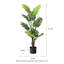 3,5 pi Faux Monstera Deliciosa Liebm en pot