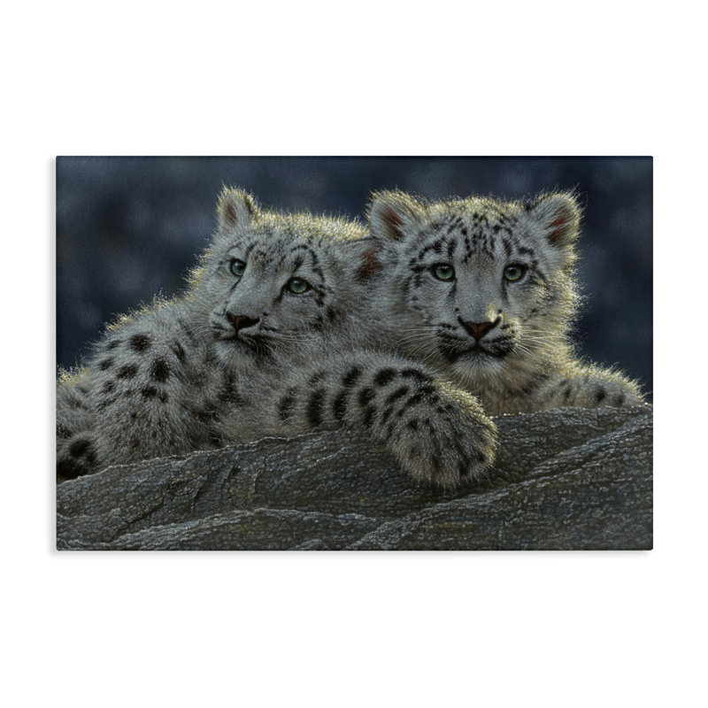 Snow Leopard Cuddle Canvas, design by Collin Bogle, 16" H x 24" W