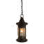 Rustic Lodge 1 - Light Pendant