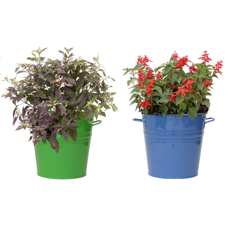 Ensemble de pots à fleurs 2 pièces Maynard, Vert pomme / bleu