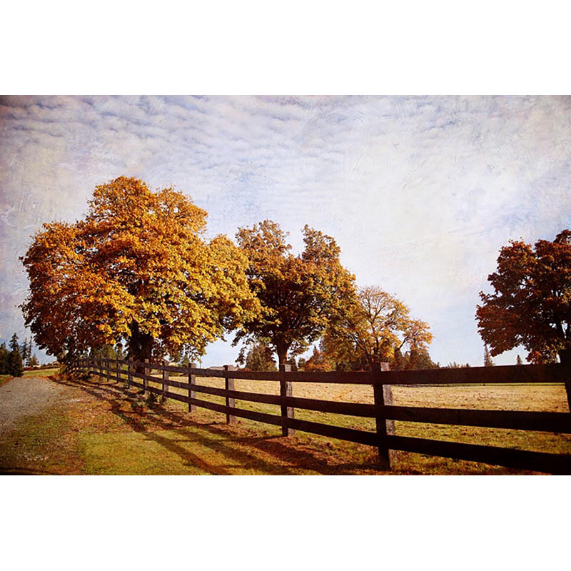 Automne matin - reproduction de photo sur toile tendue, H 20 po x l 30 po x 1,5 po