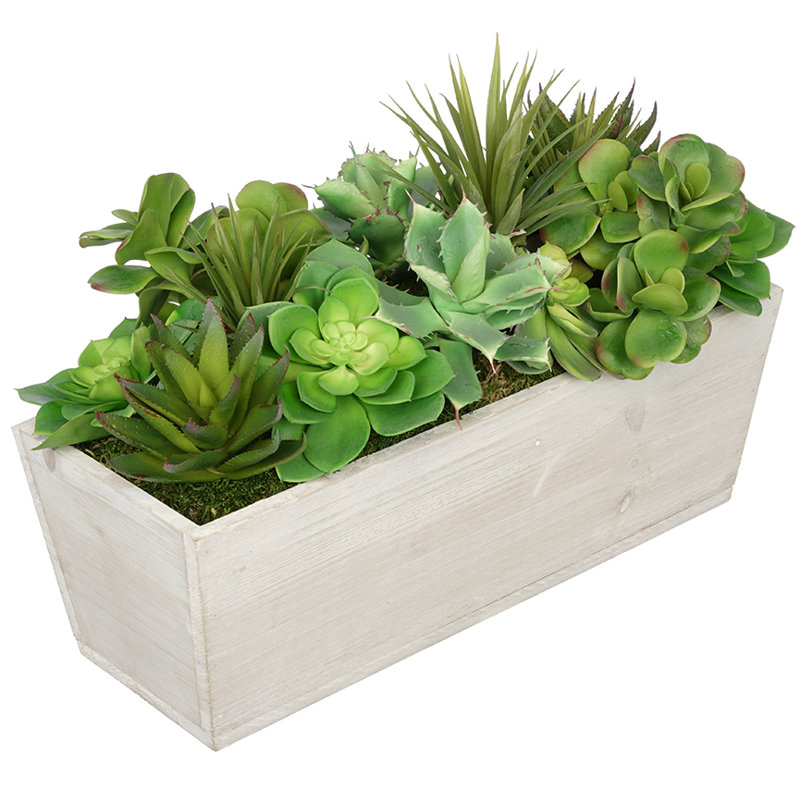 Plante grasse artificielle en pot, Crème