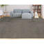 Striped Area Rug in Beige