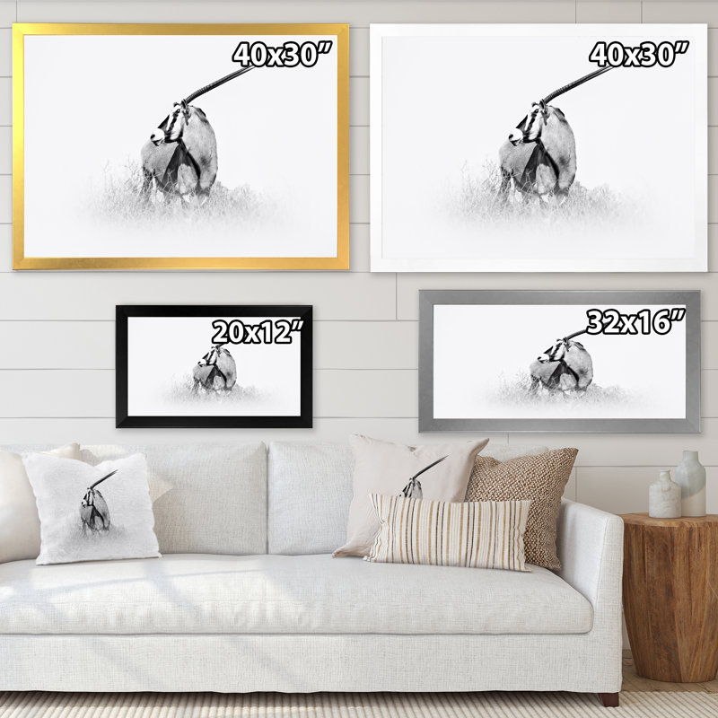 " African Gemsbok In Black And White ", 16" H x 32" W x 1" D, Black Picture Framed