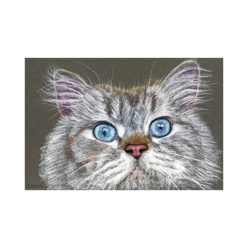 Surprised Cat by Jennifer Redstreake - 1 Piece Wrapped Canvas Wall Art, 20.32 cm H x 30.48 cm W