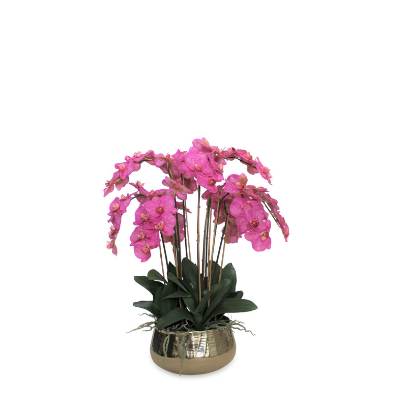 Pot à tiges d'orchidée Roberi, H 38 po x l 22 po x P 22 po, Rose