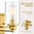 Aveliss Armed Sconce-913265963