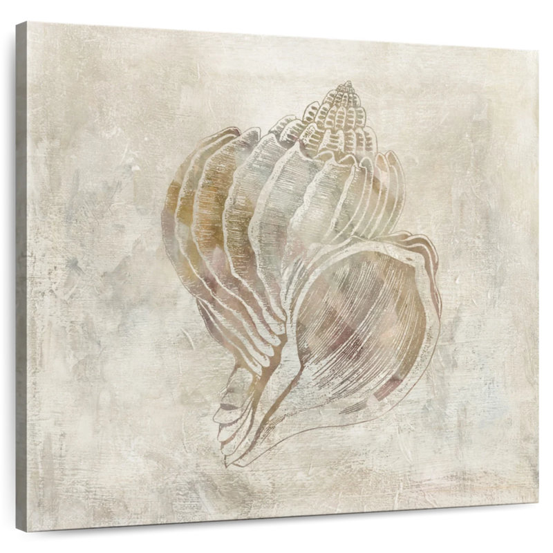 Aletra coquillage illusion III, H 30 po x l 30 po