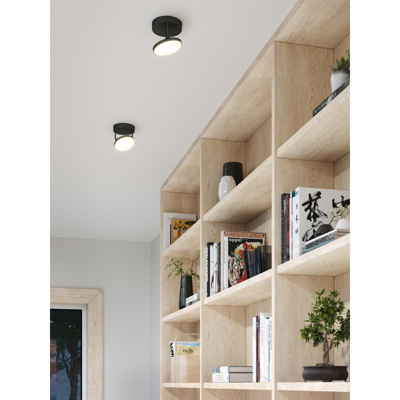 Novel LED Flush Mount