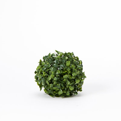 Topiaire buis ball plante