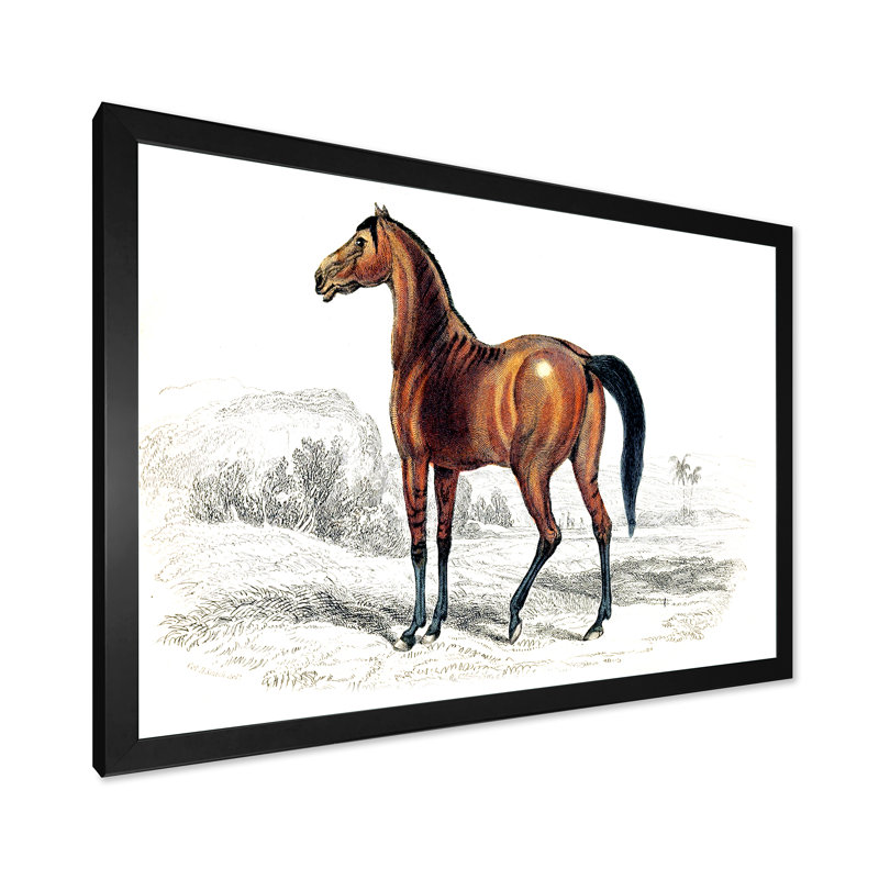 Cheval rétro - peinture sur toile, H 24 po x l 32 po x P 1 po, Cadre photo noir