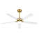 Portico 5 Blades Indoor Ceiling Fan with Light Kit and Remote