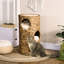 Lit pour chat à plusieurs couches avec trois et quatre coussins - Tour tissée à la main pour chats d'intérieur