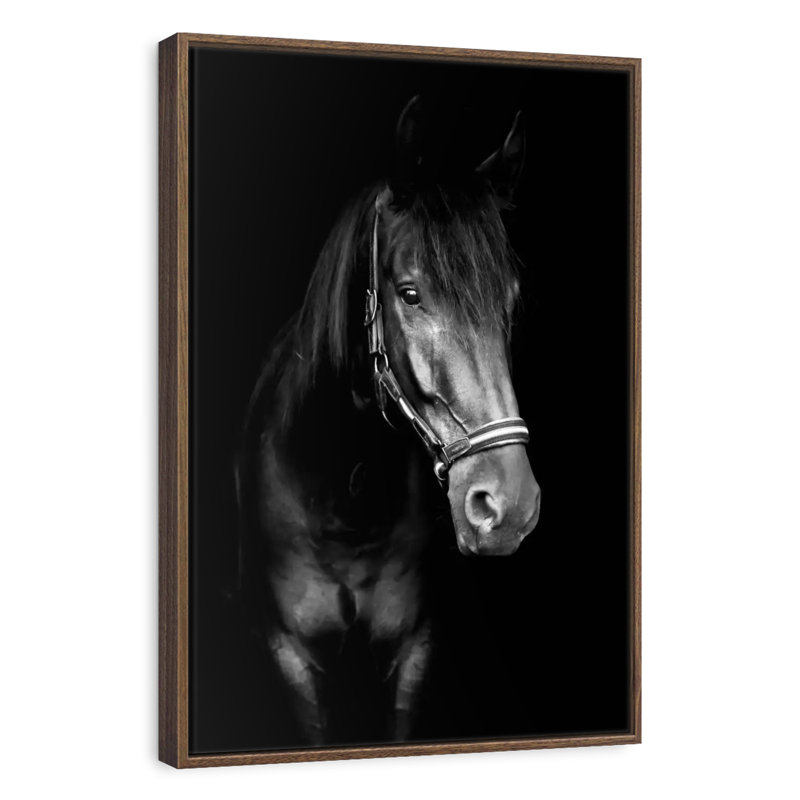 Black Horse In The Dark, 27" x 40", Floating Frame Walnut