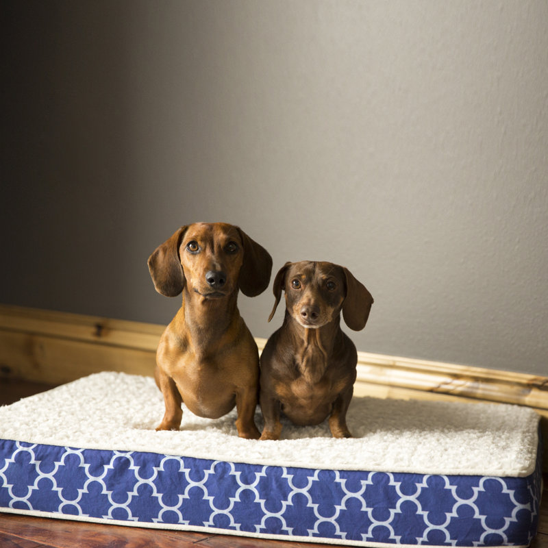Large Navy Trellis Orthopedic Waterproof Dog Bed