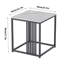 Altrina End Table