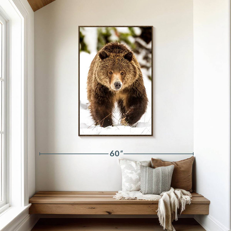 Ours grizzly qui marche, 29" x 43", Cadre flottant noyer