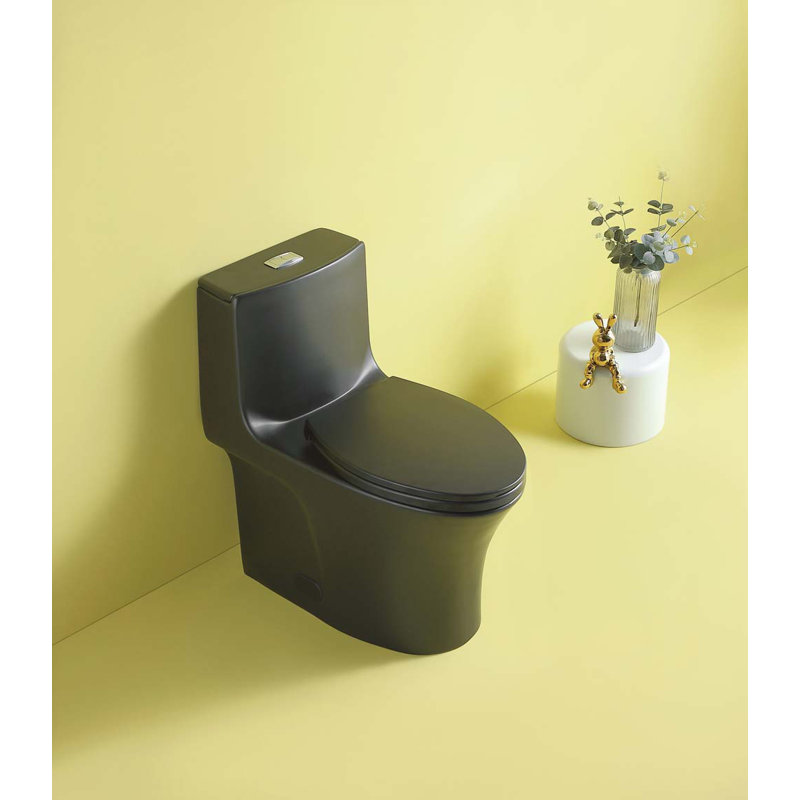 Toilette allongée une pièce 1,6 GPF Tusuton (siège inclus), Noir mat