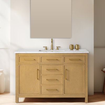 Reajean 48" Single Vanity