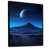 Black Floater Framed