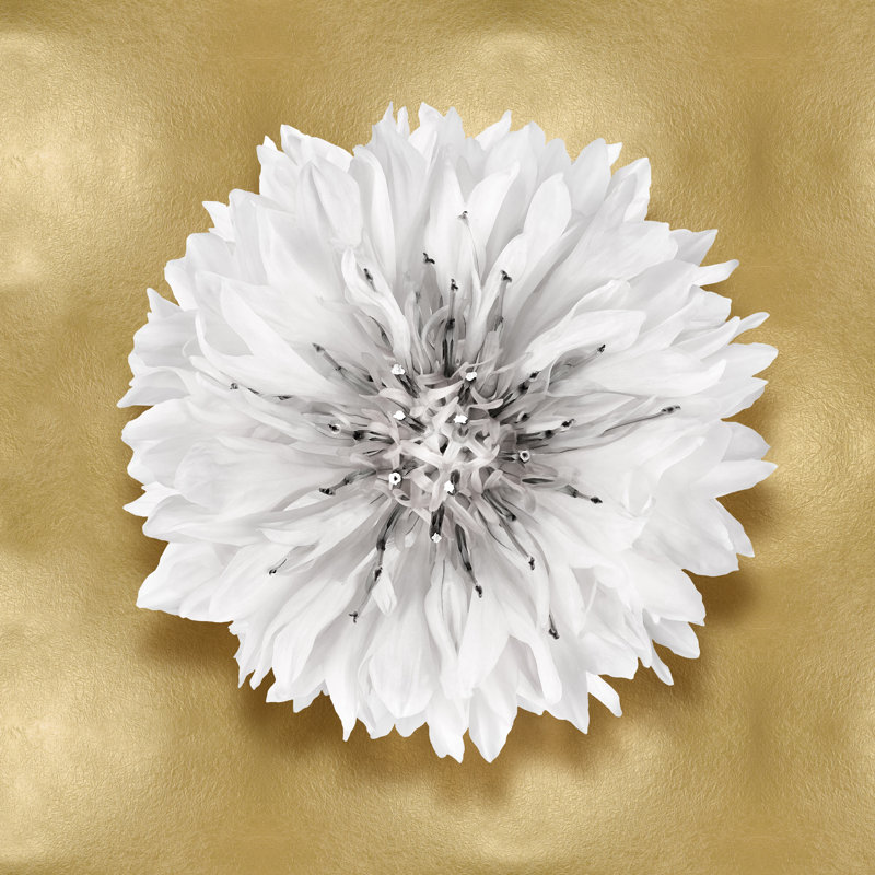 Pure IV by Caroline Kelly - Wrapped Canvas Print, 30cm H x 30cm W