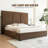 Morghen Upholstered Platform Bed With Extra High Headboard And 2 Extra Large Capacity Drawers-969740716-963804018