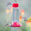 Mangeoire à colibri en verre Minnesota