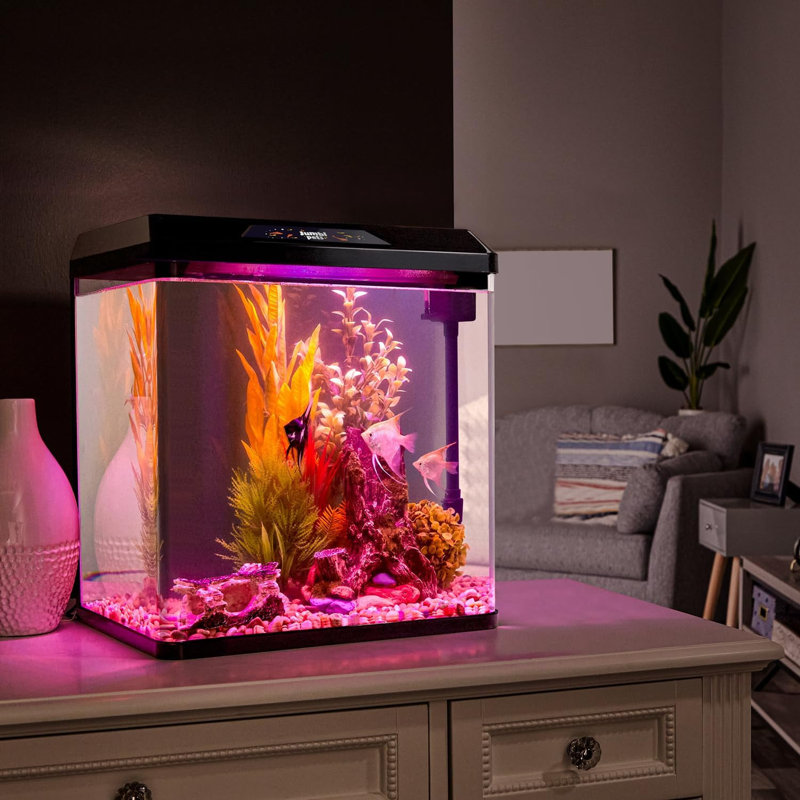 Derez Rectangle Aquarium Tank, 2 Gallon (10"H x 6"W x 9"D)
