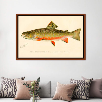 " The Brook Trout "