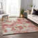 Premium Machine Washable Hintzen AMF67 Pink Rug