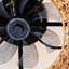 Ventilateur de plafond en bambou 19,6 "avec télécommande, 6 vitesses, ventilateur de plafond réversible à moteur à courant continu pour le salon, la chambre à coucher - AMPOULES NON INCLUSES