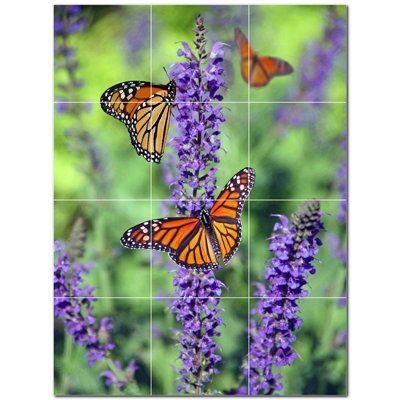 Murale en céramique satinée Butterfly Photo 4,25 po x 4,25 po